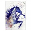 5D Diamond Painting Kits Ink Painting Horse