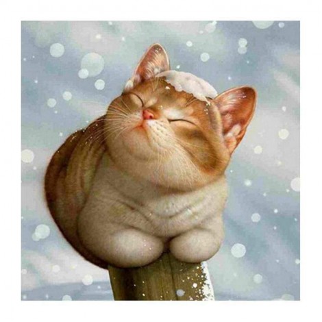 5D DIY Diamond Painting Kits Cartoon Winter Funny Fat Cat