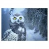 5D DIY Diamond Painting Kits Winter Snow Owl