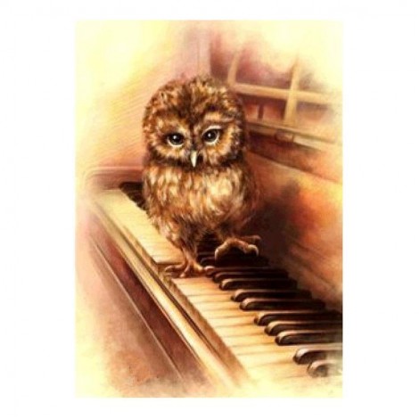 5D Diamond Painting Kits Warm And Lovely Owl on the piano