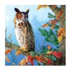 5D Diamond Painting Kits Cool Owl On The Branches
