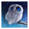5D DIY Diamond Painting Kits Dream Cute Owl Starry Sky