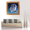 5D DIY Diamond Painting Kits Dream Cute Owl Starry Sky