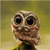 5d Diy Diamond Painting Kits Owl Pattern