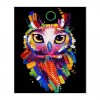 5D DIY Diamond Painting Kits Special Colored Drawing Owl