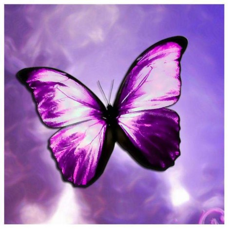 5D DIY Diamond Painting Kits Crystal Dream Shine Butterfly