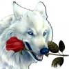 5D DIY Diamond Painting Kits White Wolf Rose