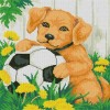 5D DIY Diamond Painting Kits Pet Dog Football in the Grass