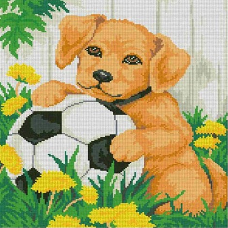 5D DIY Diamond Painting Kits Pet Dog Football in the Grass