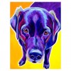 5D DIY Diamond Painting Kits Special Watercolor Pet Dog
