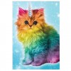 5D DIY Diamond Painting Kits Lovely Rainbow Cat mit Horn