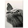 5D DIY Diamond Painting Kits Black White Cat Butterfly