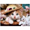 5D DIY Diamond Painting Kits Cute Hat Cat