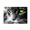 5D DIY Diamond Painting Kits Special Green Eyes Cat