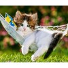5D DIY Diamond Painting Kits Animal Lazy Cat