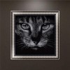 5D DIY Diamond Painting Kits Black White Cat Face