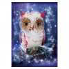 5D DIY Diamond Painting Kits Cartoon Lovely White Owl