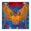 5D DIY Diamond Painting Kits Cartoon Colorful Owl