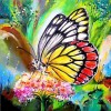 5D DIY Diamond Painting Kits Watercolor Butterfly