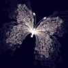5D DIY Diamond Painting Kits Dream Butterfly Shine