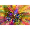 5D DIY Diamond Painting Kits Fantasy Dream Colorful Butterfly