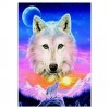 5D DIY Diamond Painting Kits Dream Cute White Wolf