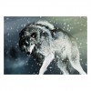 5D DIY Diamond Painting Kits Winter Black And White Wolf