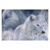 5D DIY Diamond Painting Kits White Wolf