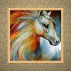 5D DIY Diamond Painting Kits Colorful Horse