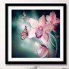 5D DIY Diamond Painting Kits Butterfly on the Pink Flower