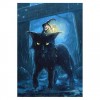 5D DIY Diamond Painting Kits Halloween Bad Witch Cat in a Rainy Night