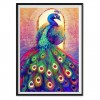 5D DIY Diamond Painting Kits Colorful Peacock