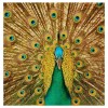 5D DIY Diamond Painting Kits Gold Modern Artistic Peacock