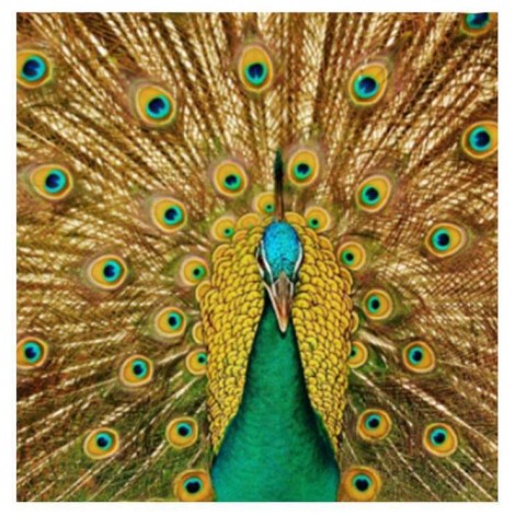 5D DIY Diamond Painting Kits Gold Modern Artistic Peacock