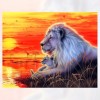 5D DIY Diamond Painting Kits Special Cartoon Lion