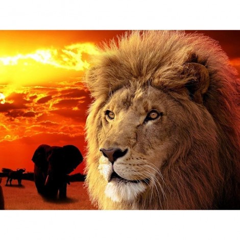 5D Diy Diamond Painting Twilight Lion Elephant Sunset