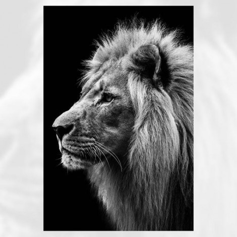 5D DIY Diamond Painting Kits Cool Black And White Animal Lion