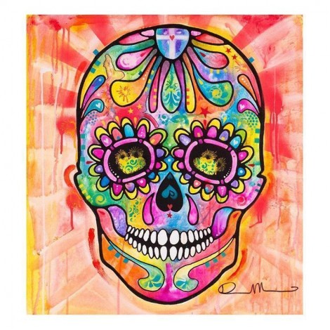 5D DIY Diamond Painting Kits Cartoon Colorful Skull