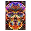 5D DIY Diamond Painting Kits Colorful Fire Skull