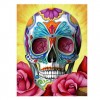 5D DIY Diamond Painting Kits Colorful Flower Skull