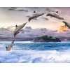 5D DIY Diamond Painting Kits Dream Leaping Dolphins