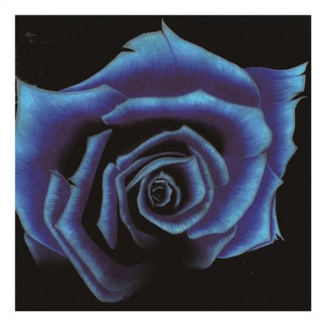 5D DIY Diamond Painting Kits Dream Blue Rose