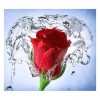 5D DIY Diamond Painting Kits Romantic Red Rose With Water