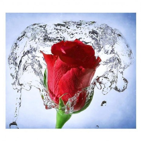 5D DIY Diamond Painting Kits Romantic Red Rose With Water