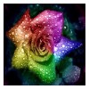 5D DIY Diamond Painting Kits Romantic Colorful Rose Petals With Water Droplets