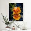 5D DIY Diamond Painting Kits Pretty Gold Rose With Water Reflection
