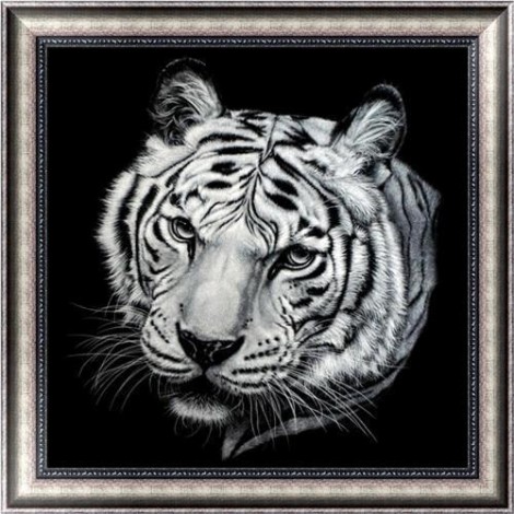5D DIY Diamond Painting Kits Cool Black White Tiger
