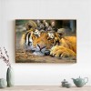 5D DIY Diamond Painting Kits Cute Animal Tigers