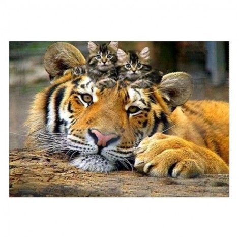 5D DIY Diamond Painting Kits Cute Animal Tigers