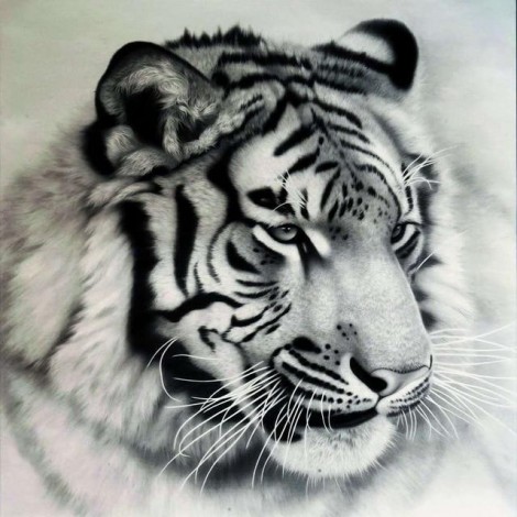 5D DIY Diamond Painting Kits Black And White Cool Tiger